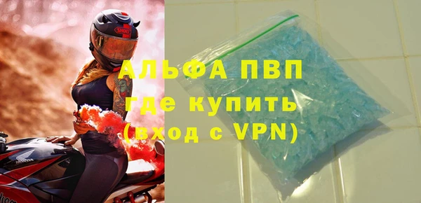 индика Белокуриха