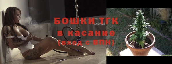 индика Белокуриха