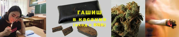 индика Белокуриха