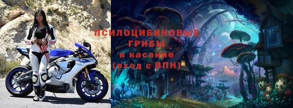 индика Белокуриха