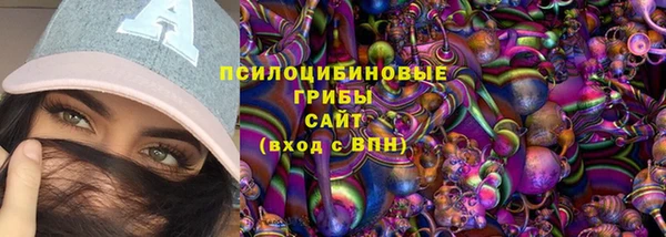 бошки Елизово
