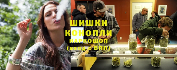 индика Белокуриха